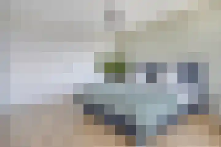 Churchilllaan 342 Terneuzen thumbnail 26