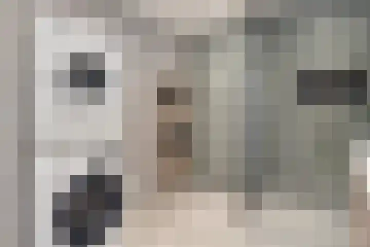 Churchilllaan 342 Terneuzen thumbnail 30