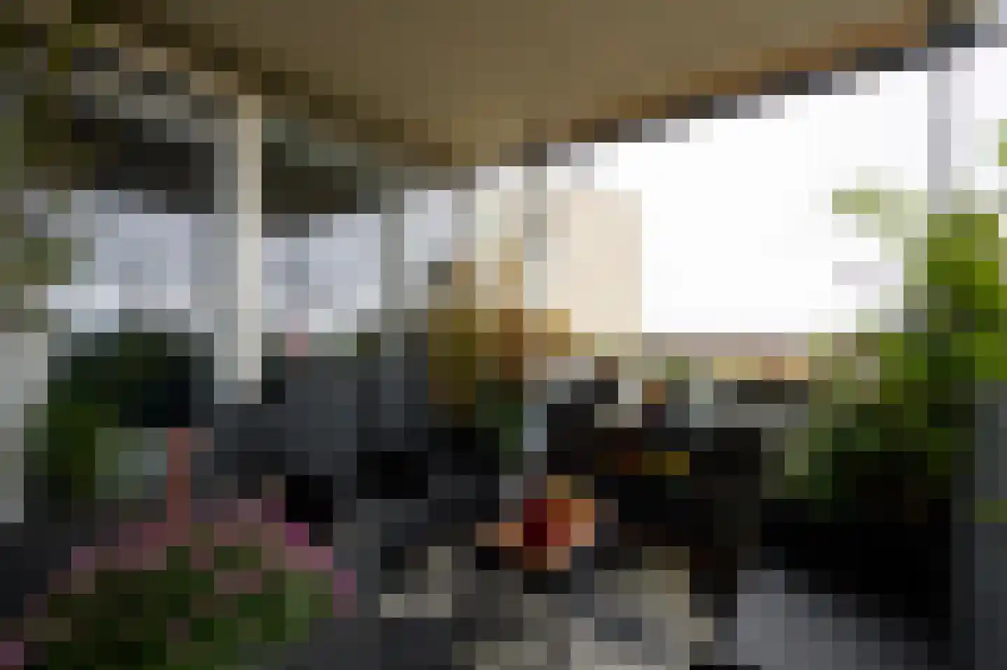 Churchilllaan 346 Terneuzen thumbnail 17