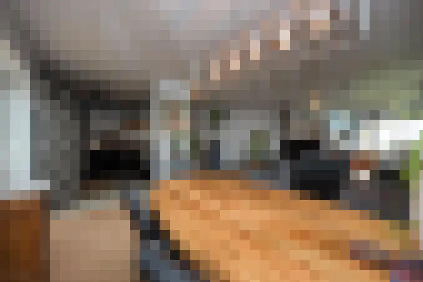 Churchilllaan 346 Terneuzen thumbnail 4