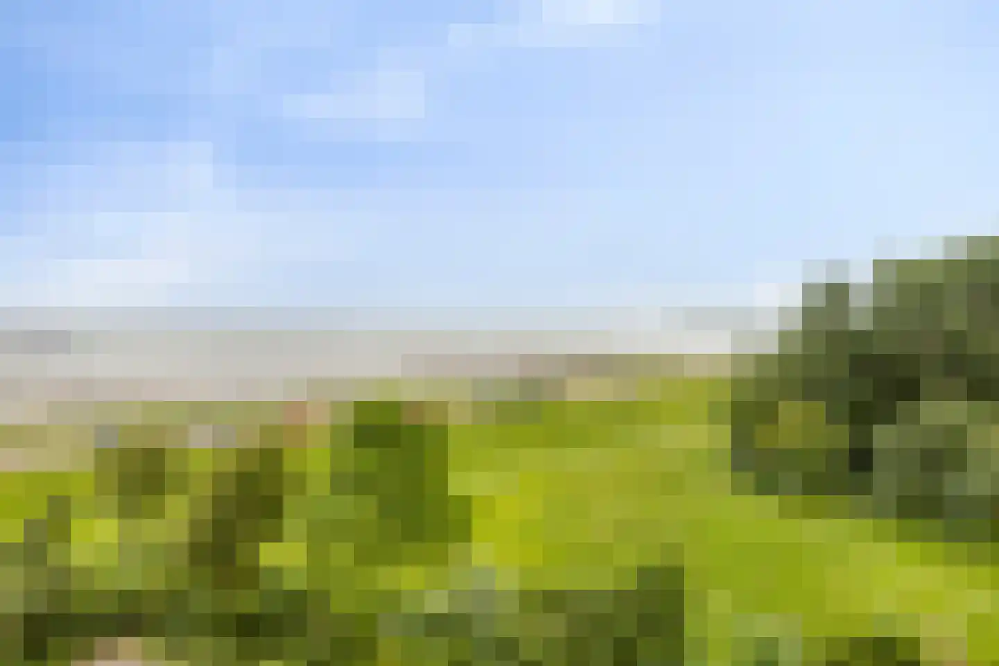 Churchilllaan 454 Terneuzen thumbnail 31