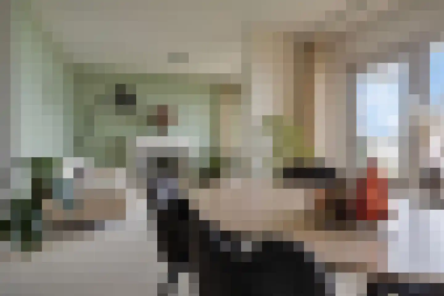 Churchilllaan 456 Terneuzen thumbnail 13
