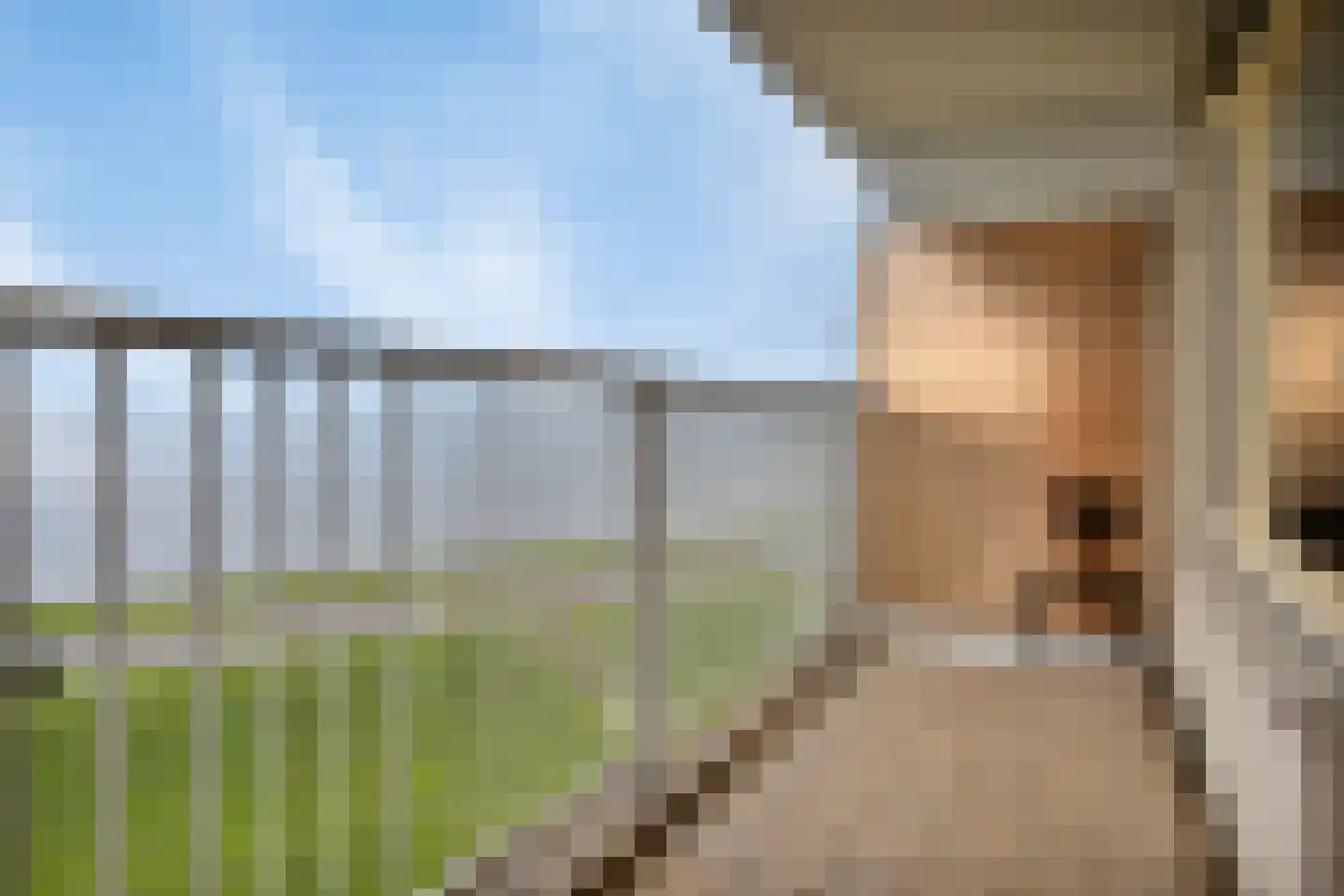 Churchilllaan 456 Terneuzen thumbnail 18