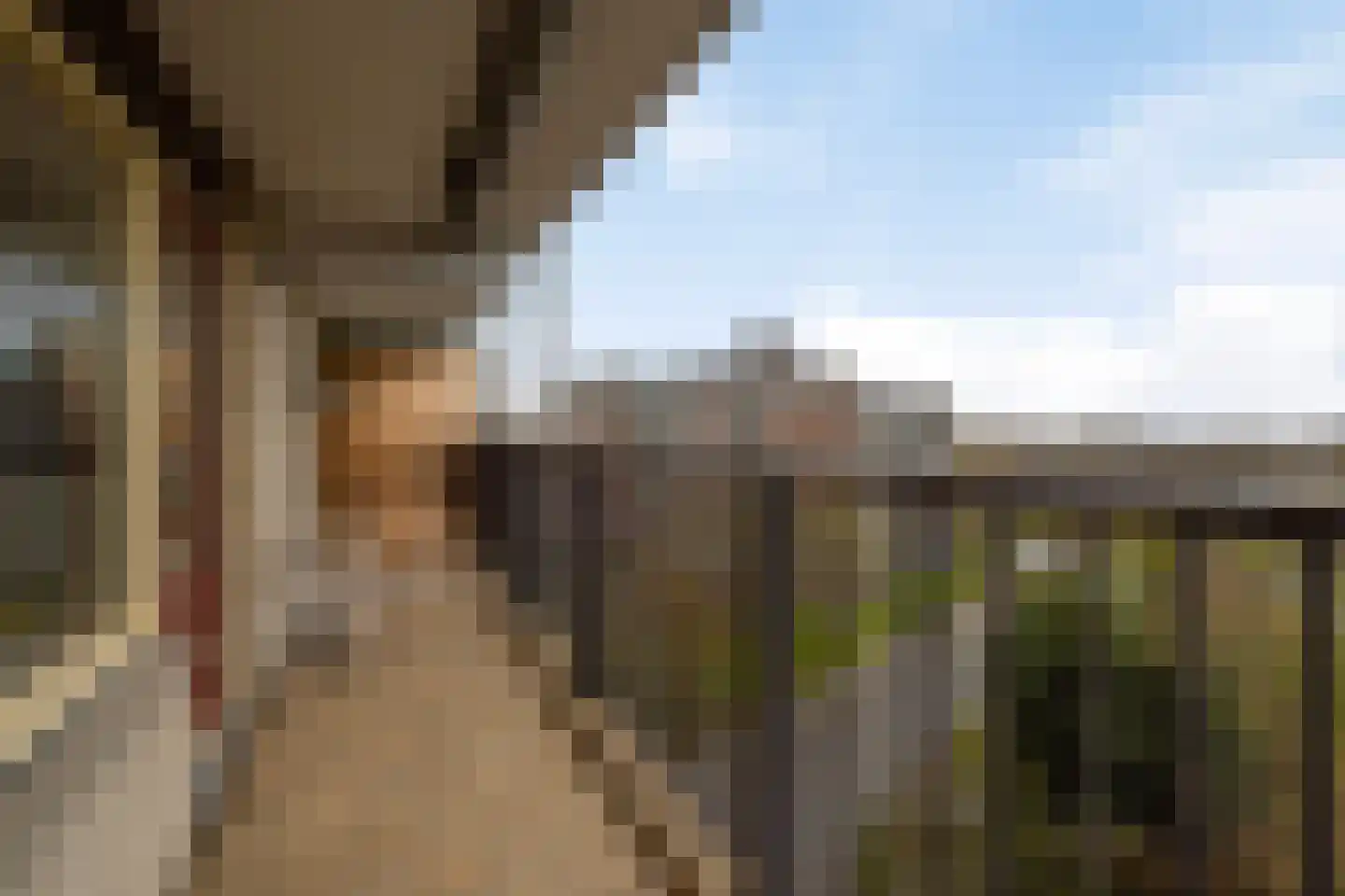 Churchilllaan 456 Terneuzen thumbnail 24