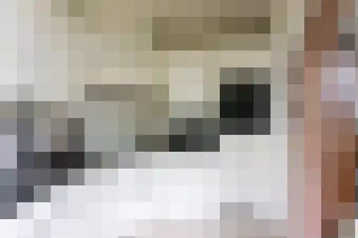 Churchilllaan 6 Bergen op Zoom thumbnail 7