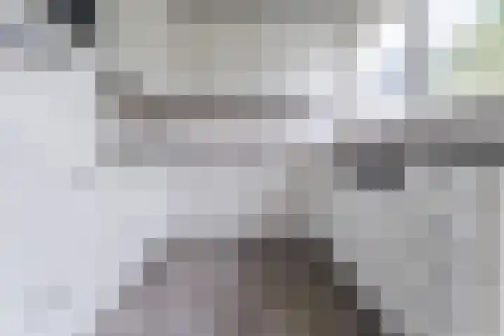 Churchilllaan 6 Voorhout thumbnail 13