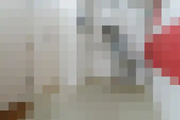 Churchilllaan 6 Voorhout thumbnail 34