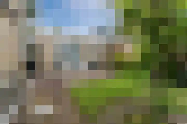 Churchilllaan 6 Voorhout thumbnail 37
