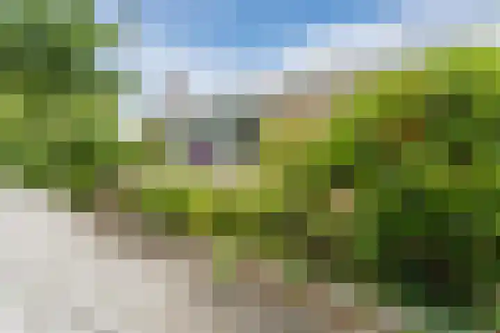 Churchilllaan 6 Voorhout thumbnail 48