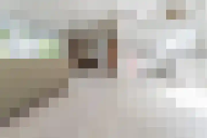 Churchilllaan 6 Voorhout thumbnail 6