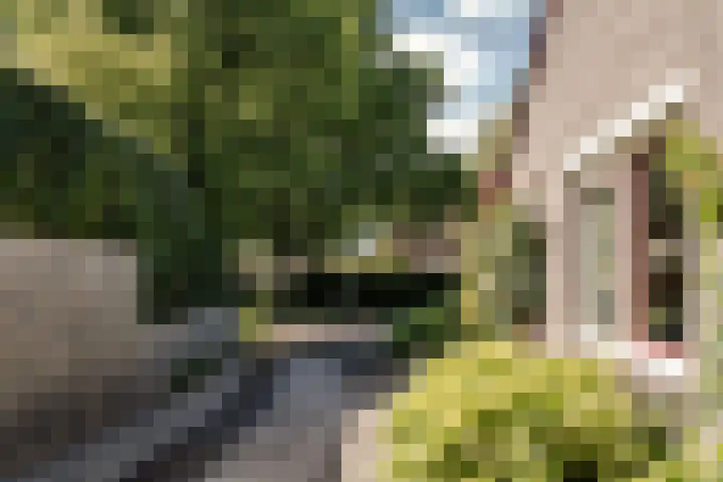 Churchilllaan 64 A Haarlem thumbnail 19