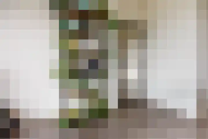 Churchilllaan 66 Leiden thumbnail 7