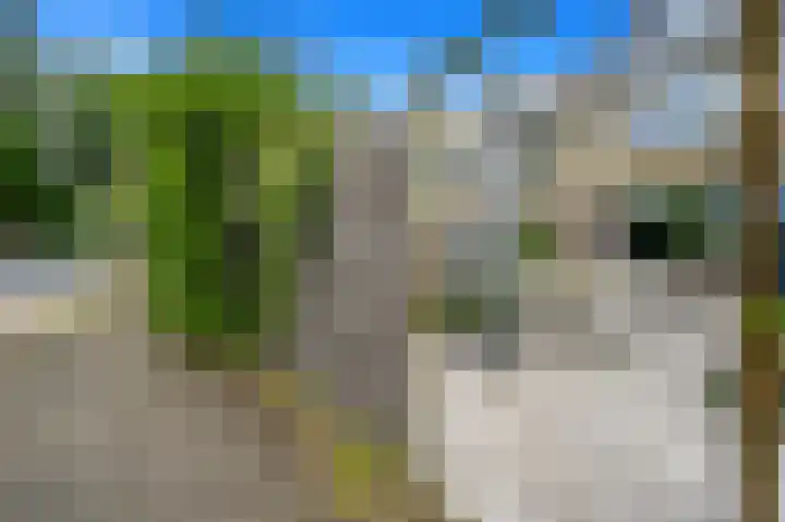 Churchilllaan 7 Delft thumbnail 13
