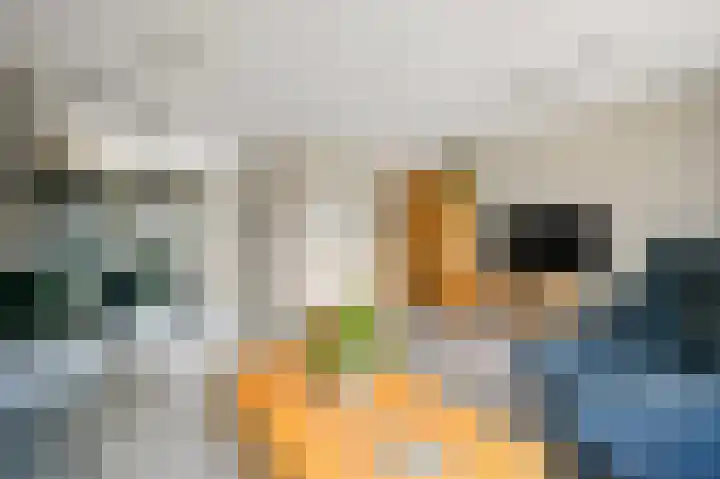 Churchilllaan 7 Delft thumbnail 7