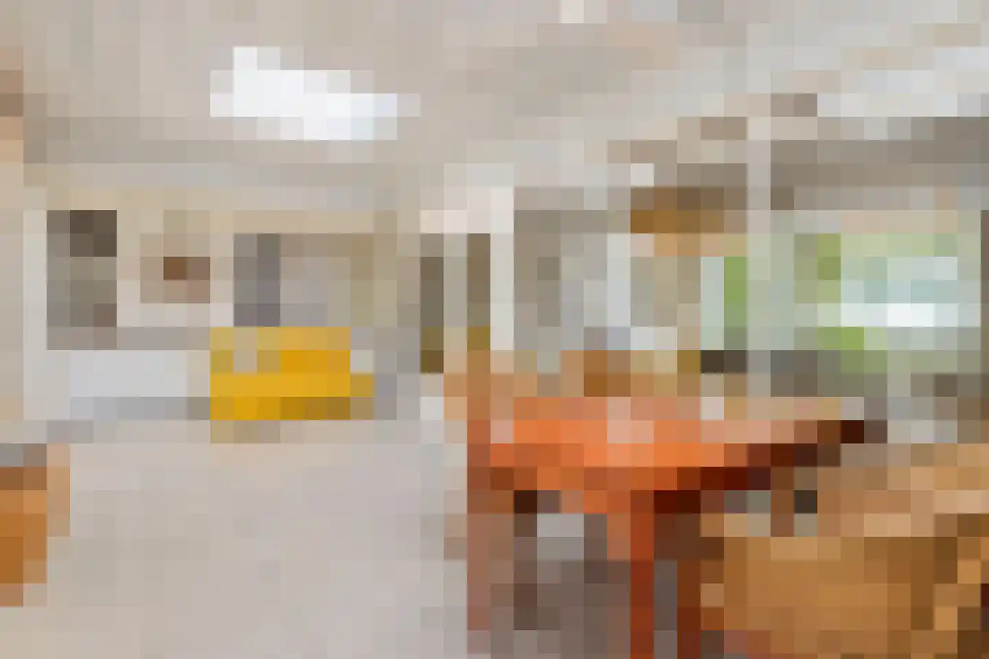 Churchilllaan 7 Eygelshoven thumbnail 10