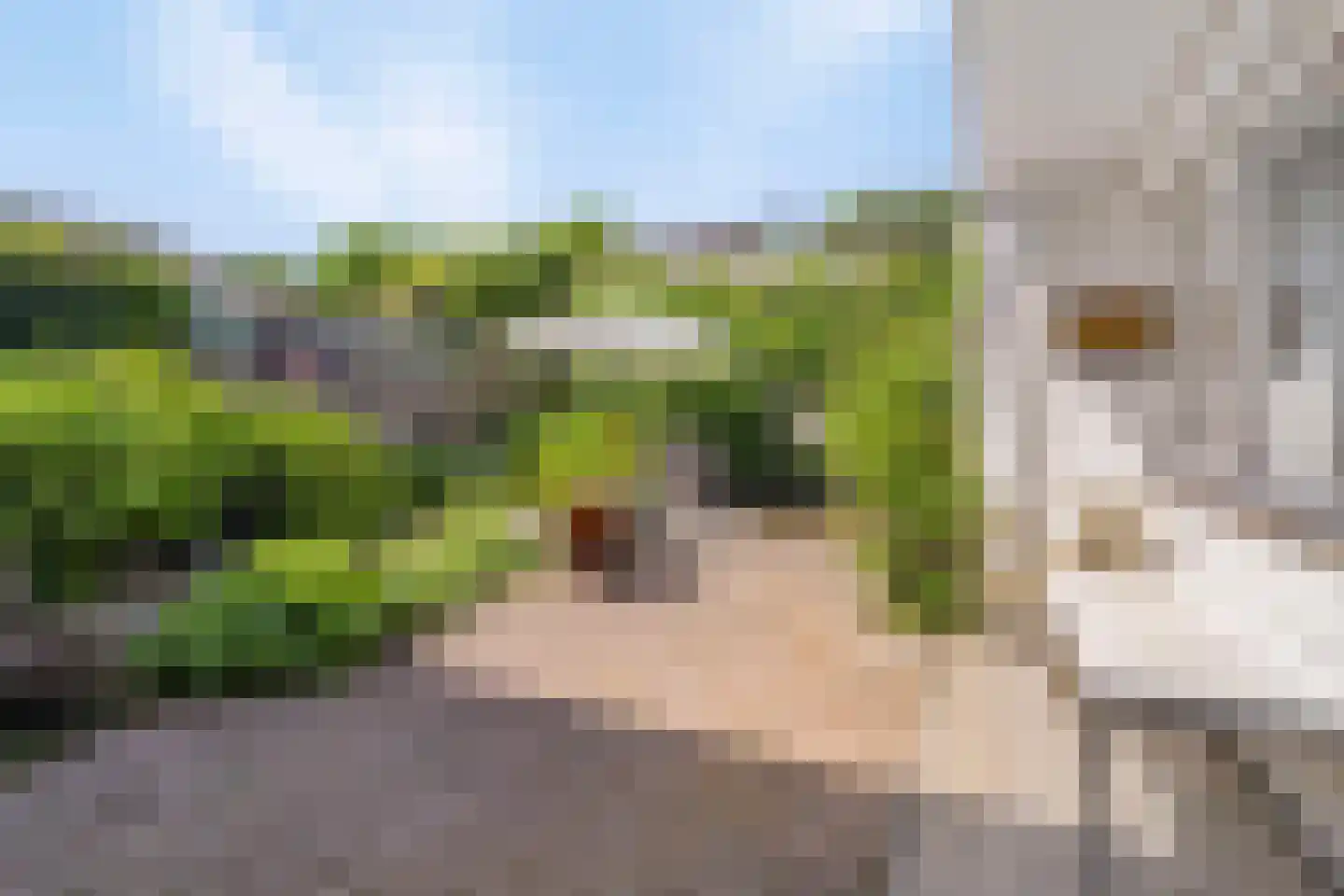 Churchilllaan 7 Eygelshoven thumbnail 11