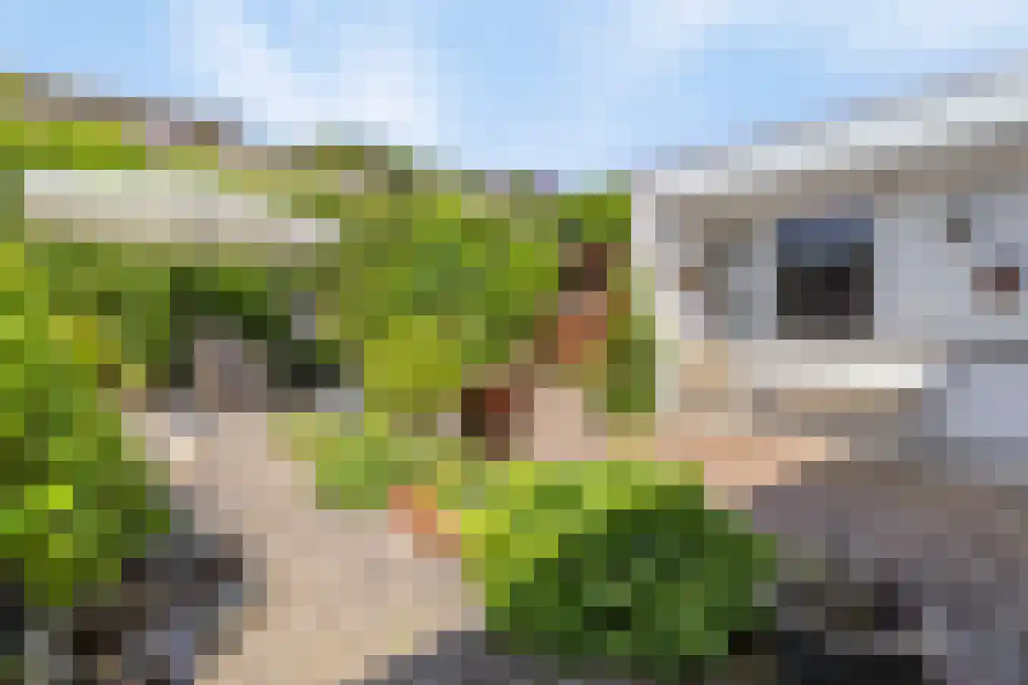 Churchilllaan 7 Eygelshoven thumbnail 14