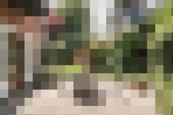 Churchilllaan 7 Haarlem thumbnail 19