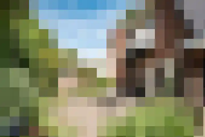 Churchilllaan 7 Haarlem thumbnail 20