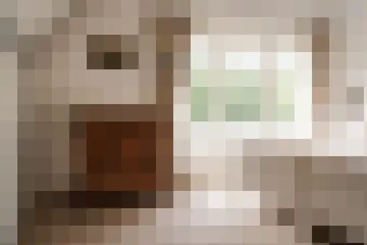 Churchilllaan 7 Haarlem thumbnail 28