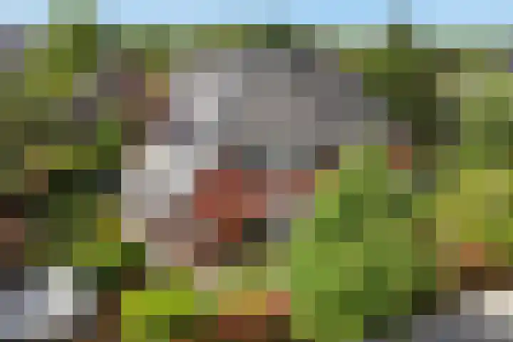 Churchilllaan 7 Haarlem thumbnail 4