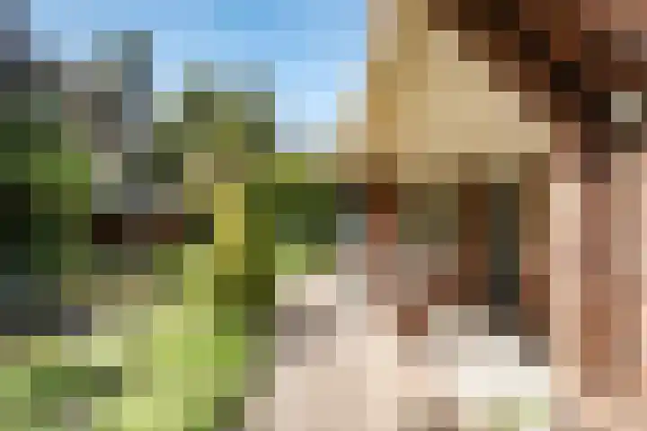 Churchilllaan 7 Haarlem thumbnail 7