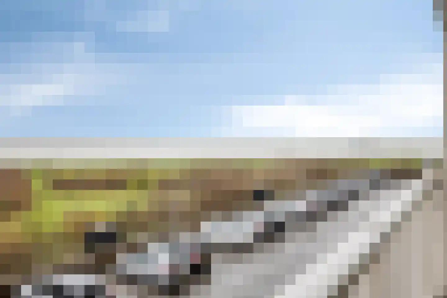 Churchilllaan 708 Terneuzen thumbnail 12