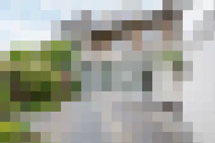 Churchilllaan 71 Maastricht thumbnail 20