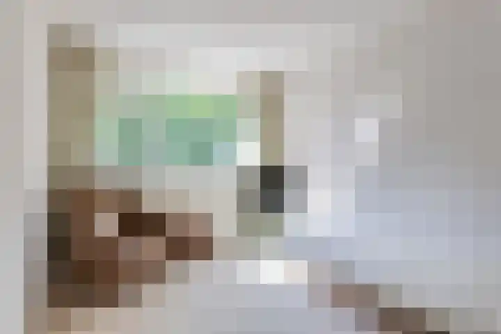 Churchilllaan 714 Terneuzen thumbnail 12