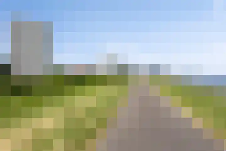 Churchilllaan 714 Terneuzen thumbnail 23