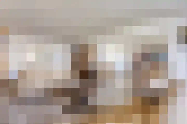 Churchilllaan 714 Terneuzen thumbnail 4