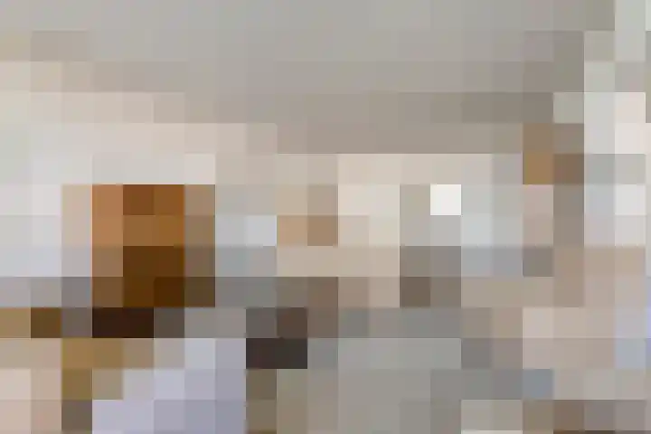 Churchilllaan 714 Terneuzen thumbnail 5