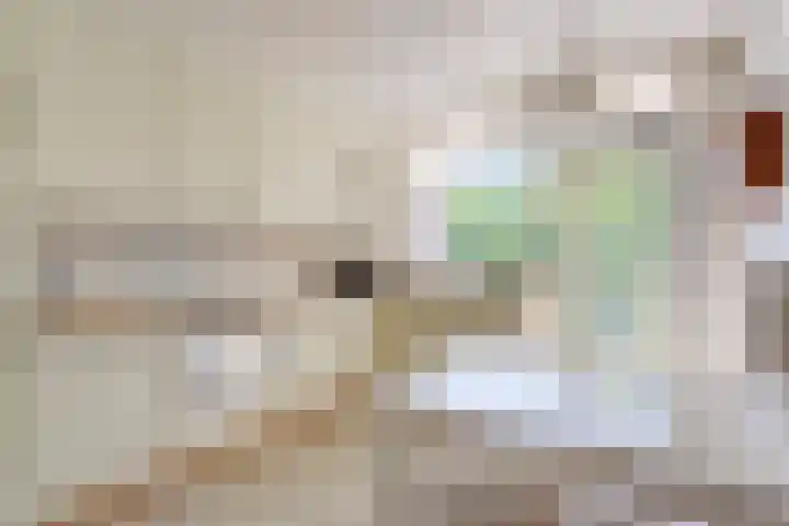 Churchilllaan 714 Terneuzen thumbnail 8