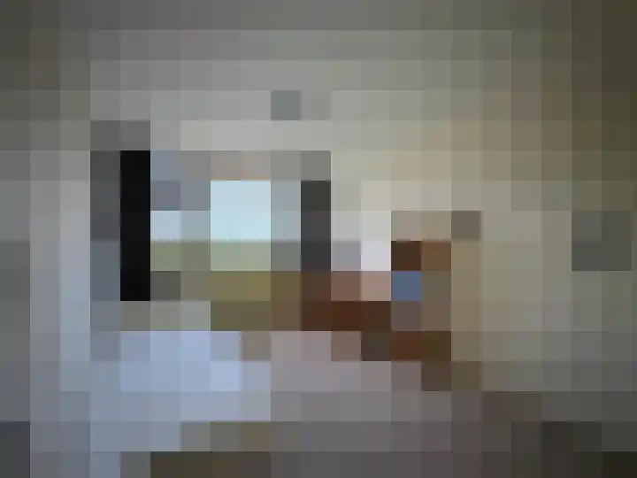 Churchilllaan 750 Terneuzen thumbnail 11