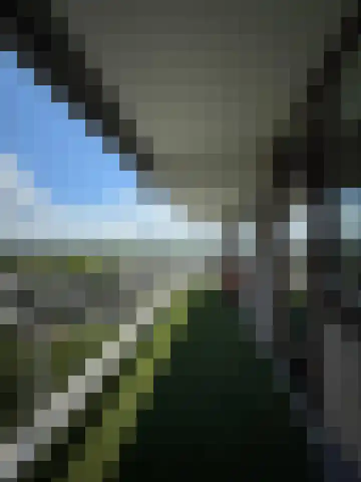 Churchilllaan 750 Terneuzen thumbnail 16