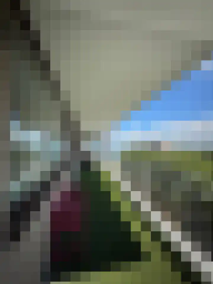 Churchilllaan 750 Terneuzen thumbnail 17