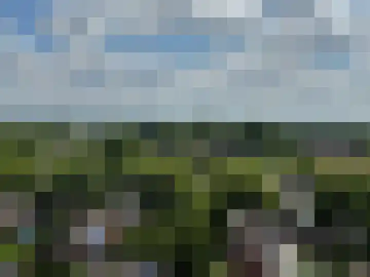 Churchilllaan 750 Terneuzen thumbnail 23
