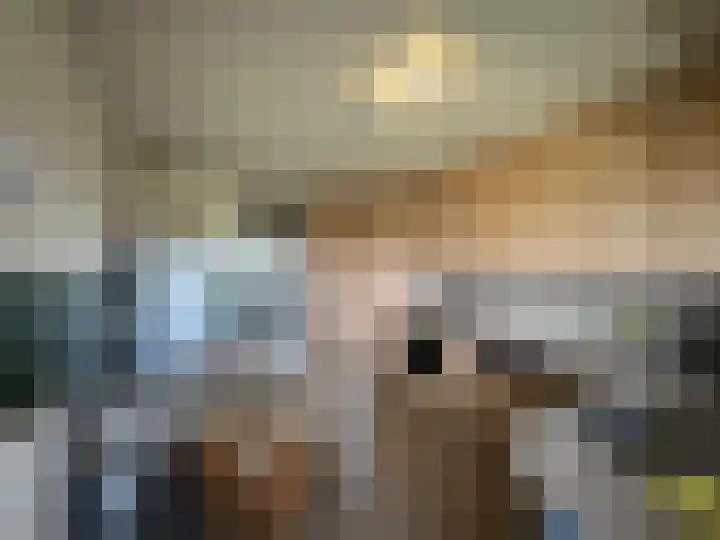 Churchilllaan 750 Terneuzen thumbnail 6