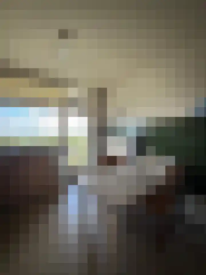Churchilllaan 750 Terneuzen thumbnail 7