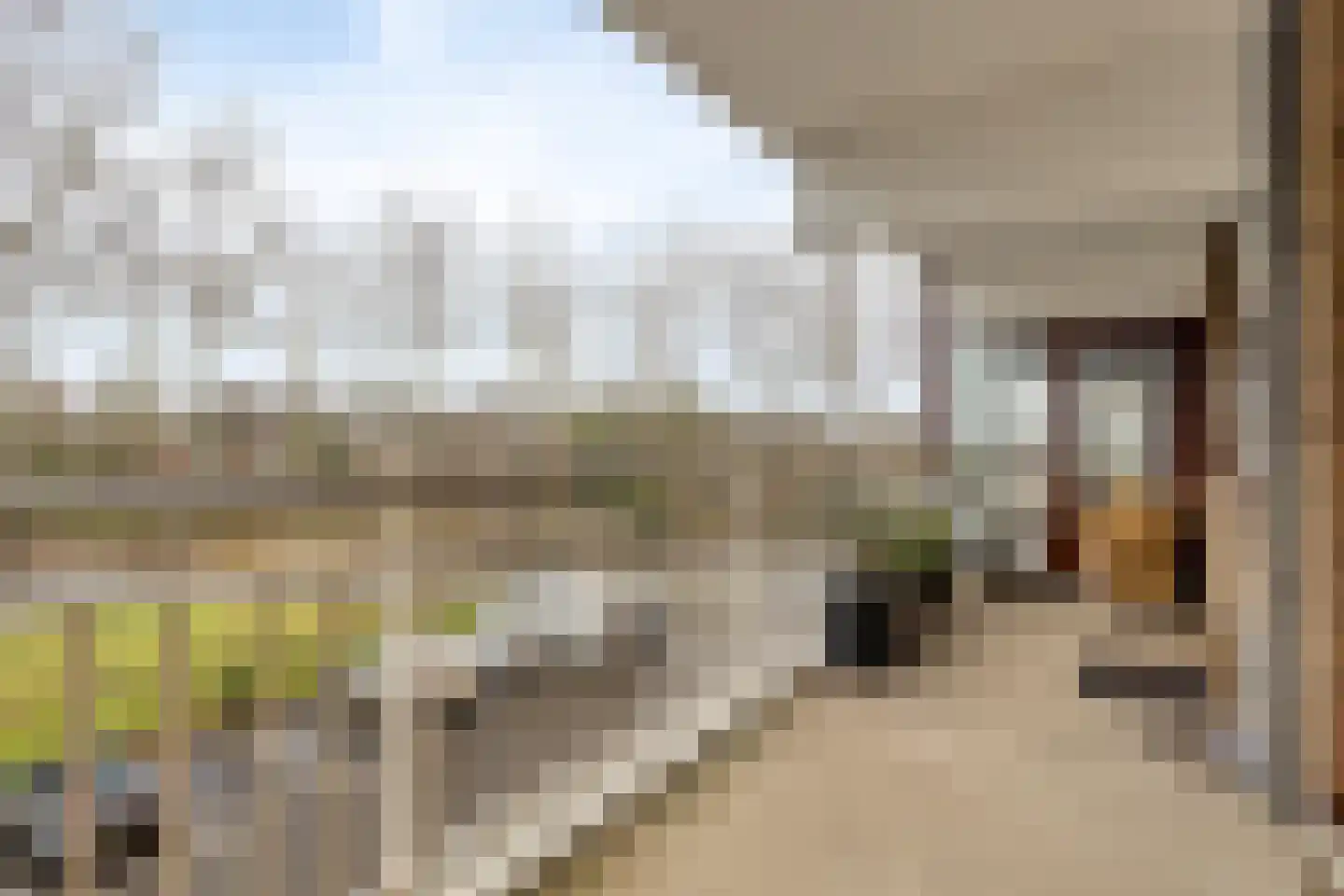 Churchilllaan 760 Terneuzen thumbnail 32