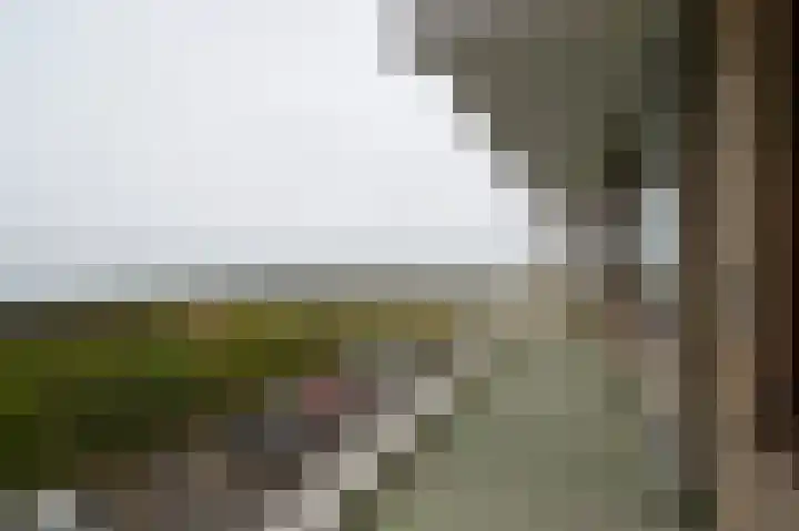 Churchilllaan 772 Terneuzen thumbnail 14