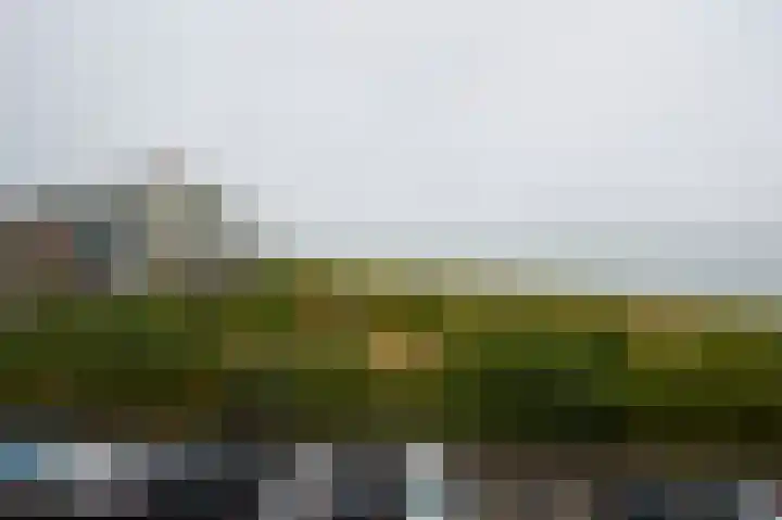 Churchilllaan 772 Terneuzen thumbnail 16