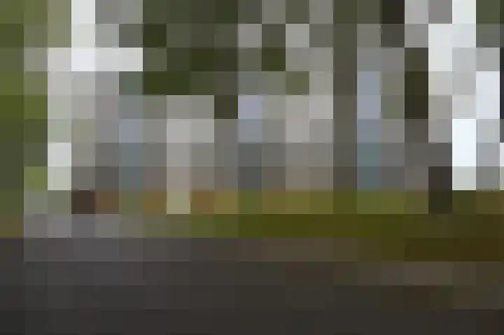 Churchilllaan 772 Terneuzen thumbnail 17