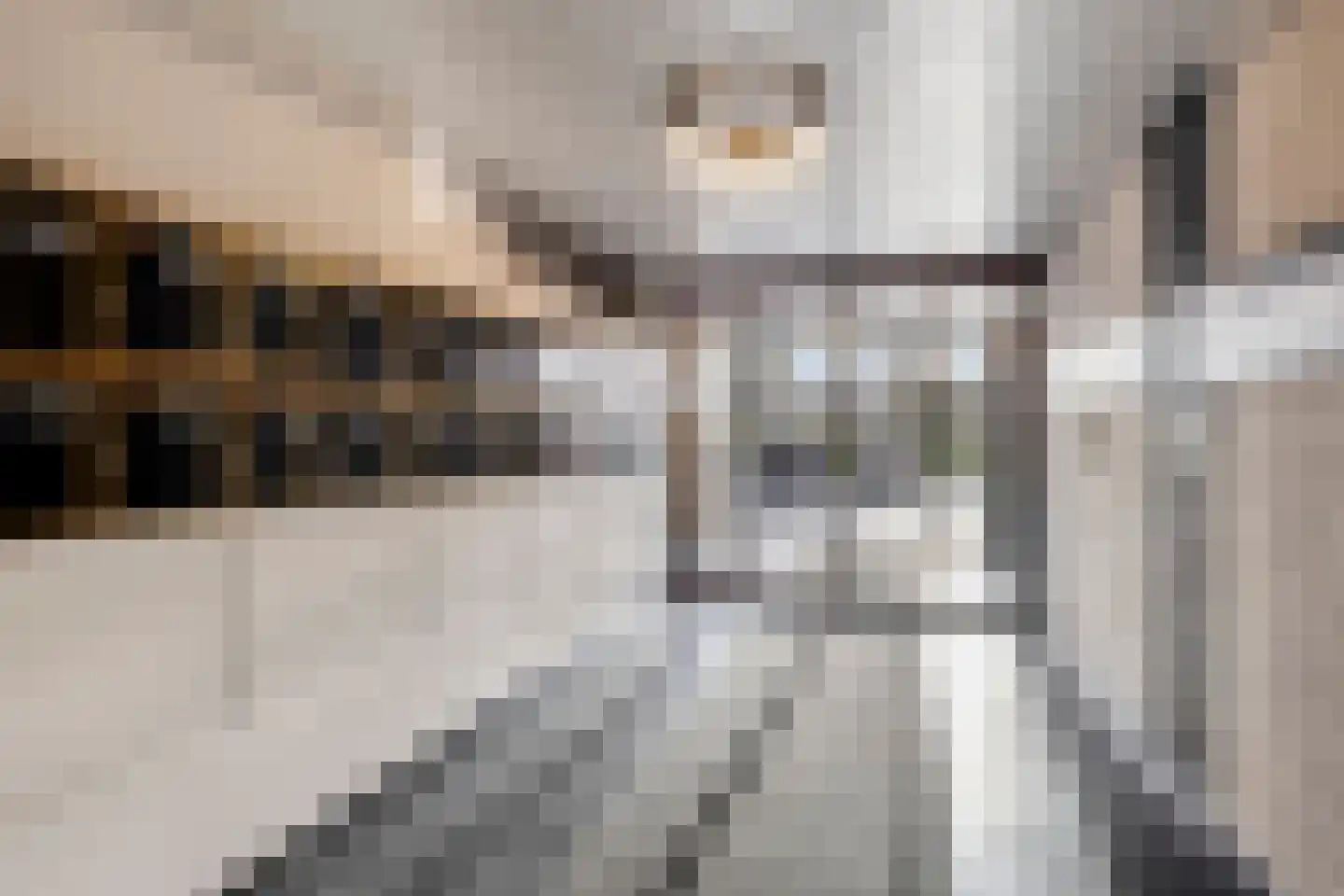 Churchilllaan 788 Terneuzen thumbnail 6