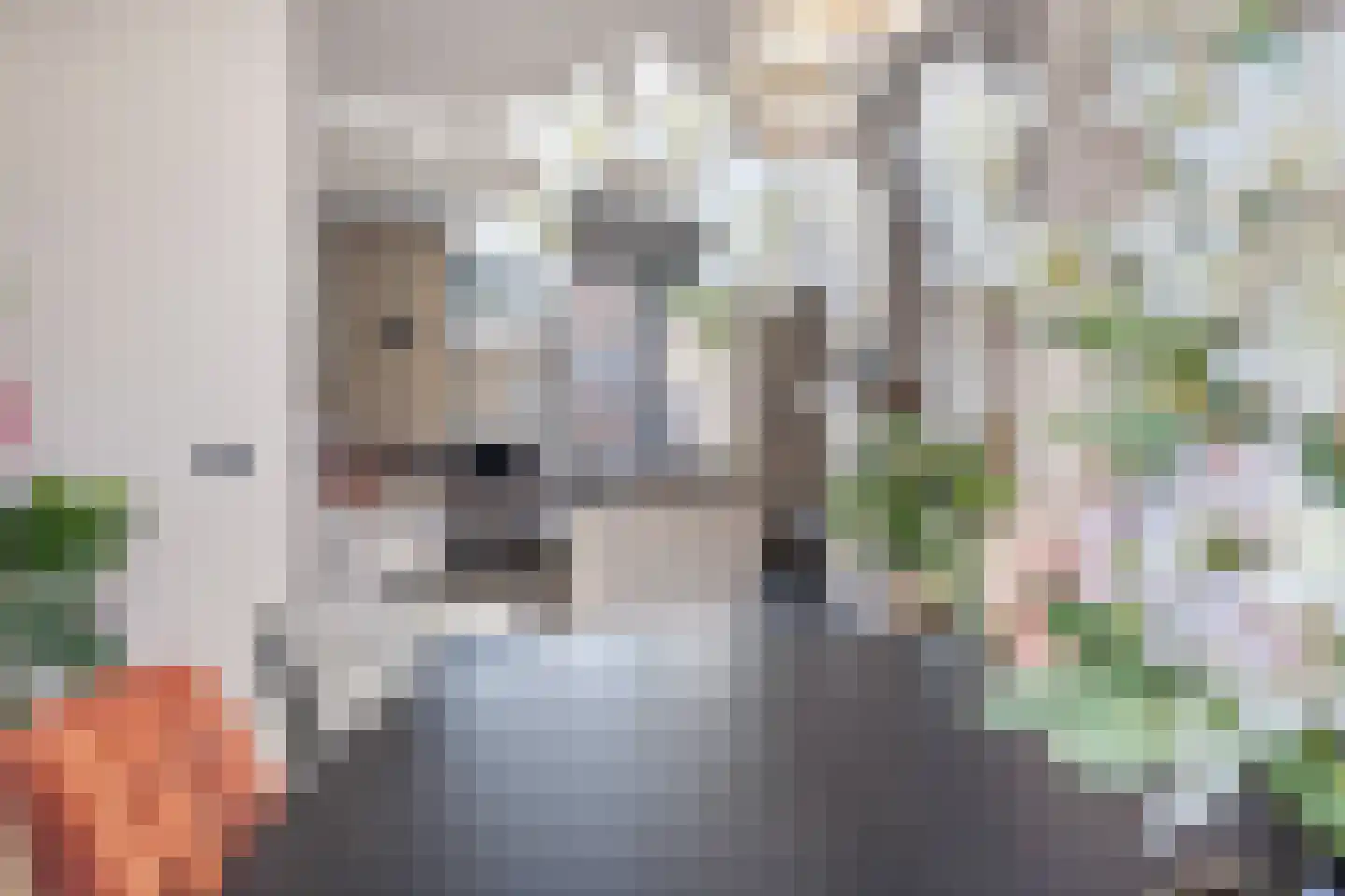 Churchilllaan 9 Meijel thumbnail 15