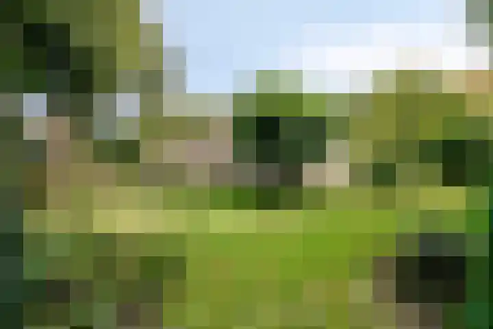 Churchillpark 11 Sterksel thumbnail 42