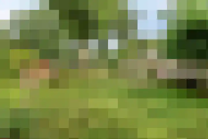 Churchillpark 11 Sterksel thumbnail 43