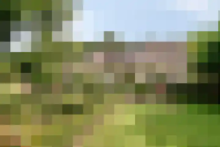 Churchillpark 11 Sterksel thumbnail 44