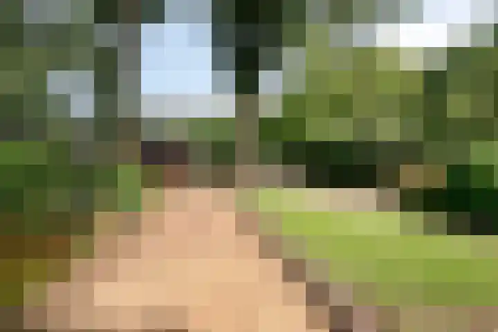 Churchillpark 11 Sterksel thumbnail 45
