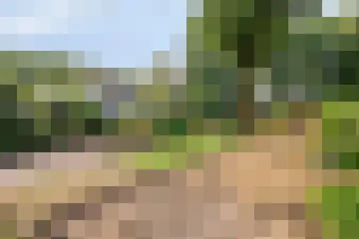 Churchillpark 11 Sterksel thumbnail 46